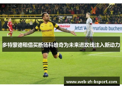 多特蒙德租借买断扬科维奇为未来进攻线注入新动力 多特蒙德租借买断扬科维奇为未来进攻线注入新动力