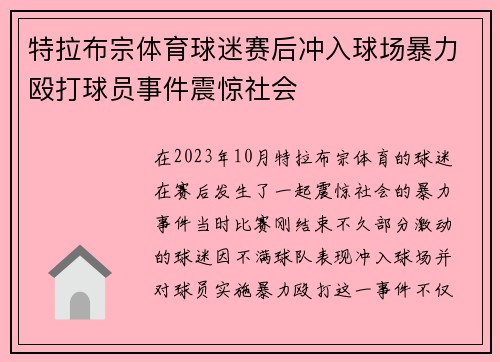 特拉布宗体育球迷赛后冲入球场暴力殴打球员事件震惊社会 特拉布宗体育球迷赛后冲入球场暴力殴打球员事件震惊社会